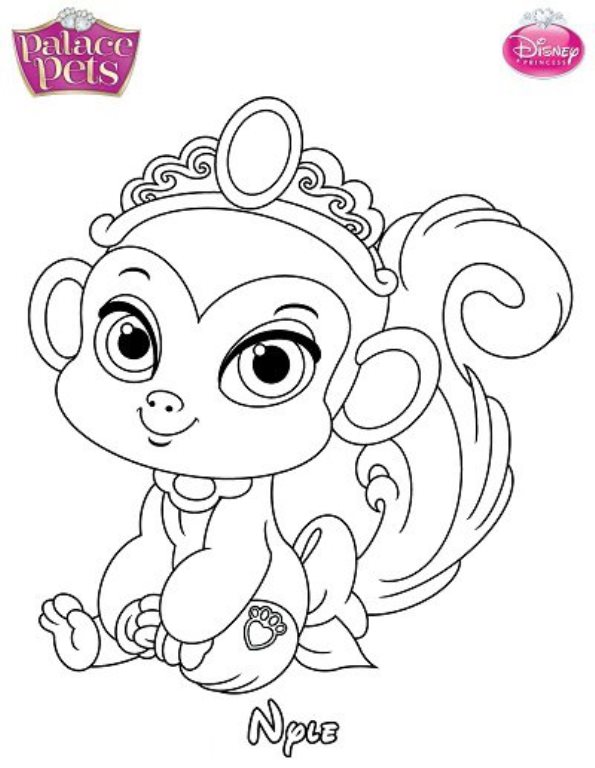 36 coloring pages of Princess Palace Pets
